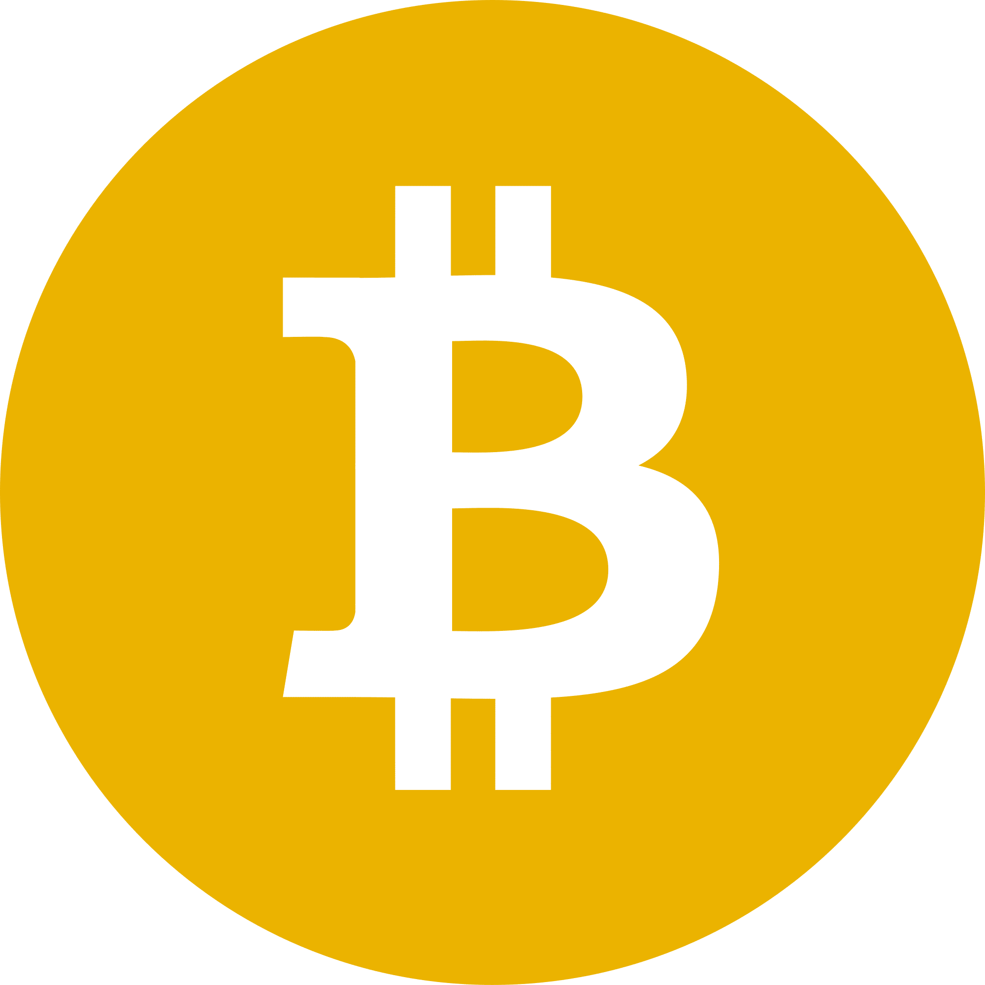 BitcoinSV Coin